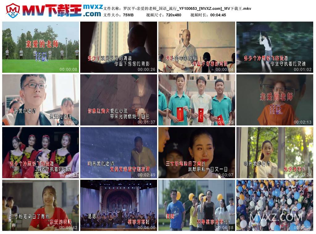 罗汉平-亲爱的老师_国语_流行_YF100653